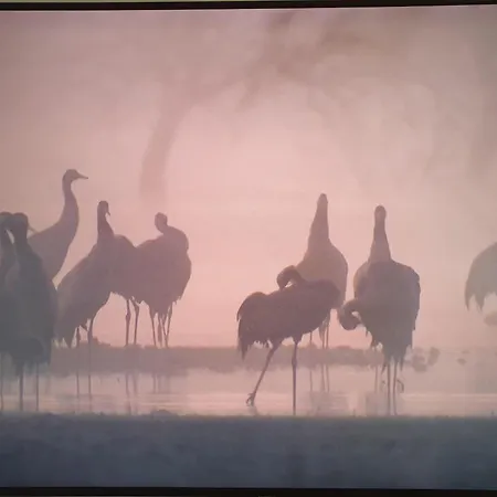 Appartement Barth-tor-zum-darss-zingst-b